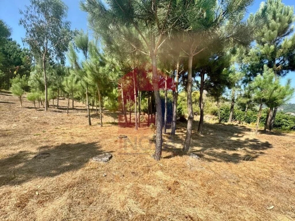 Terreno para Venda em Esqueiros, Nevogilde e Travassós Foto 17