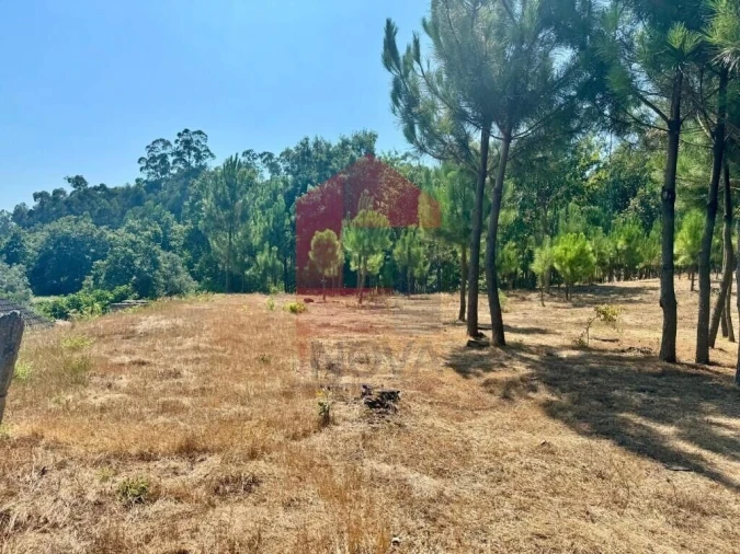 Terreno para Venda em Esqueiros, Nevogilde e Travassós Foto 5