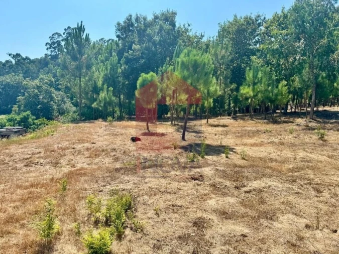 Terreno para Venda em Esqueiros, Nevogilde e Travassós Foto 11