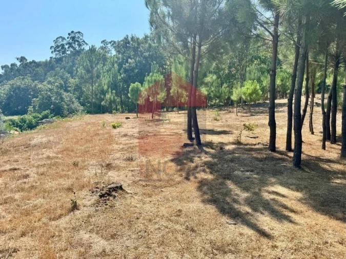 Terreno para Venda em Esqueiros, Nevogilde e Travassós Foto 4