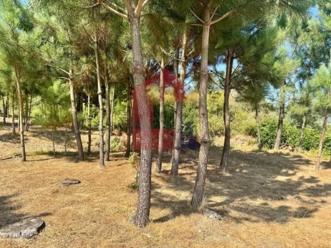 Terreno para Venda em Esqueiros, Nevogilde e Travassós Foto 15