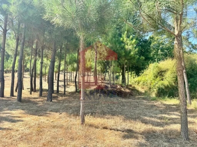 Terreno para Venda em Esqueiros, Nevogilde e Travassós Foto 9