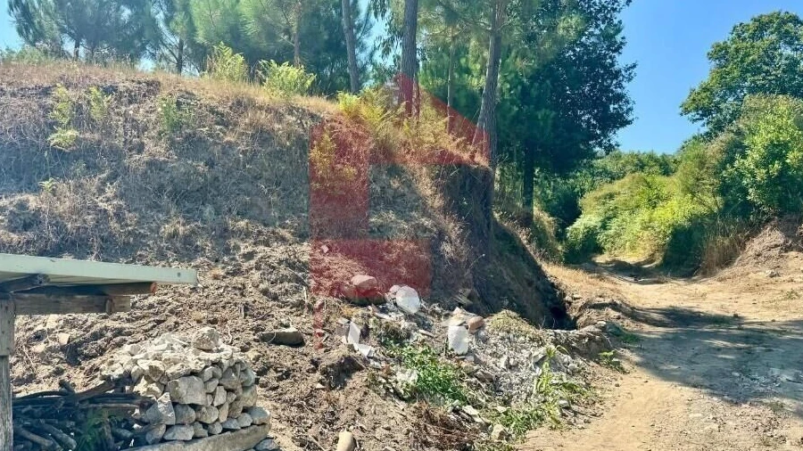 Terreno para Venda em Esqueiros, Nevogilde e Travassós