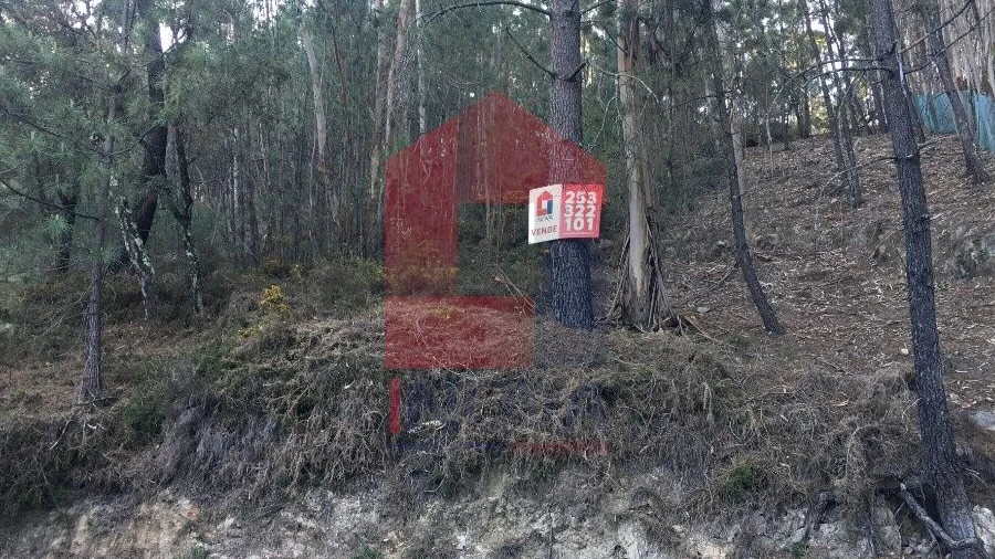 Terreno para Venda em Escariz (São Mamede) e Escariz (São Martinho)