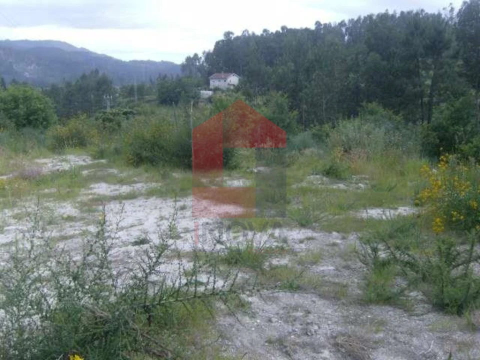 Terreno para Venda em Valbom (São Pedro), Passô e Valbom (São Martinho) Foto 7