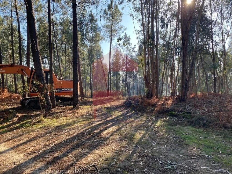 Terreno para Venda em Esqueiros, Nevogilde e Travassós Foto 30