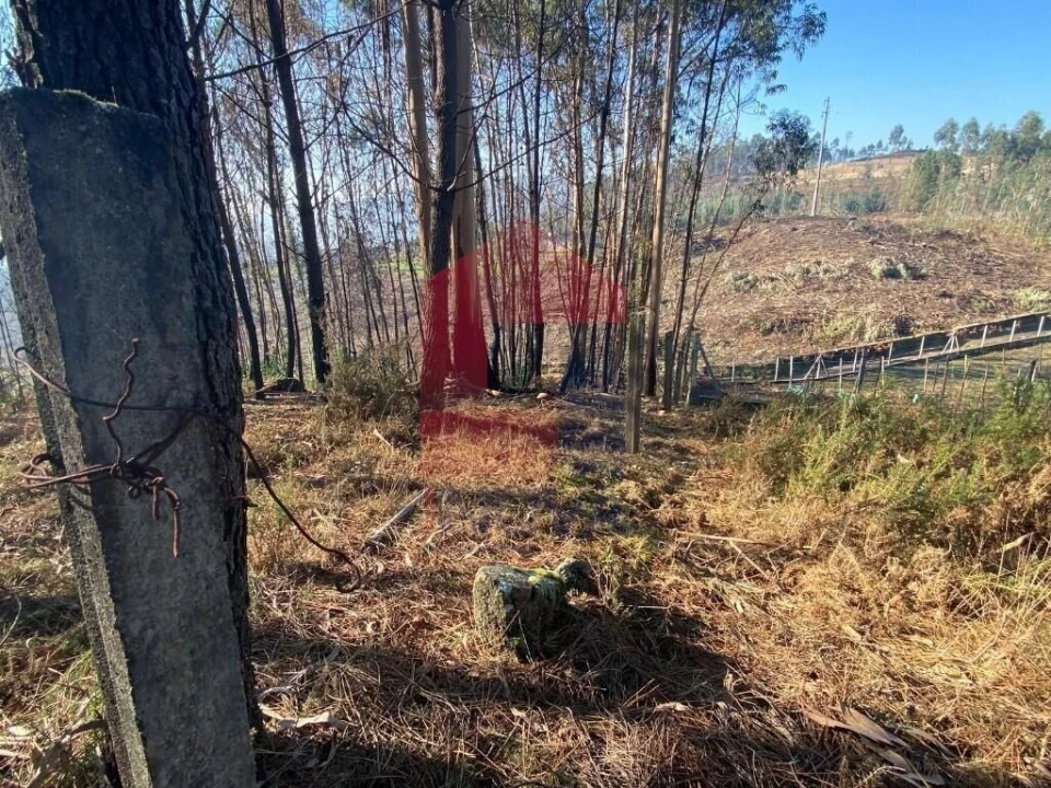 Terreno para Venda em Esqueiros, Nevogilde e Travassós Foto 8