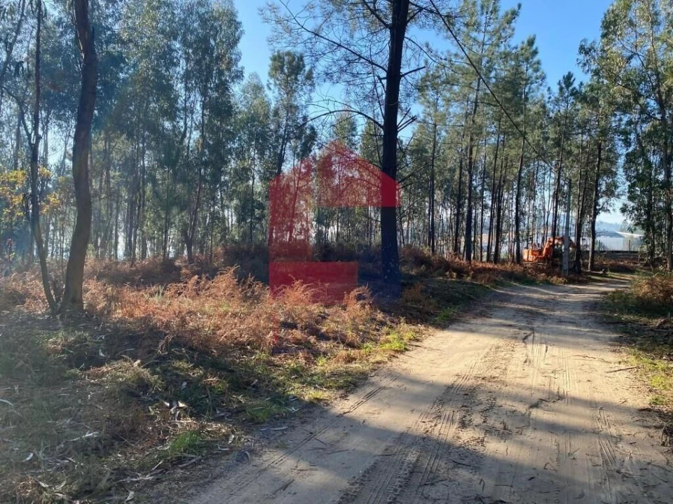 Terreno para Venda em Esqueiros, Nevogilde e Travassós Foto 33