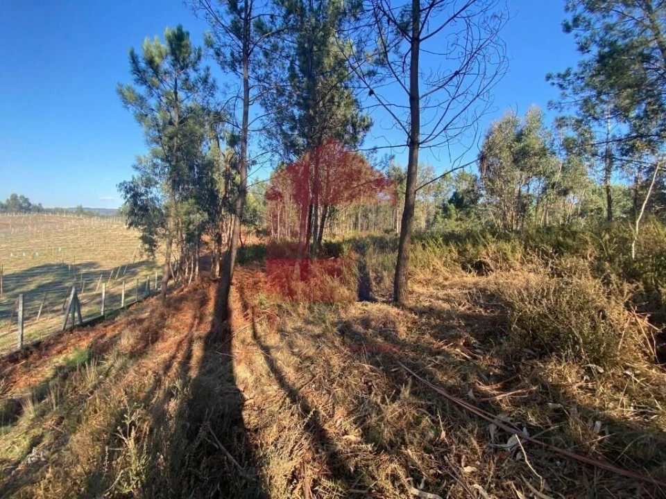 Terreno para Venda em Esqueiros, Nevogilde e Travassós Foto 31