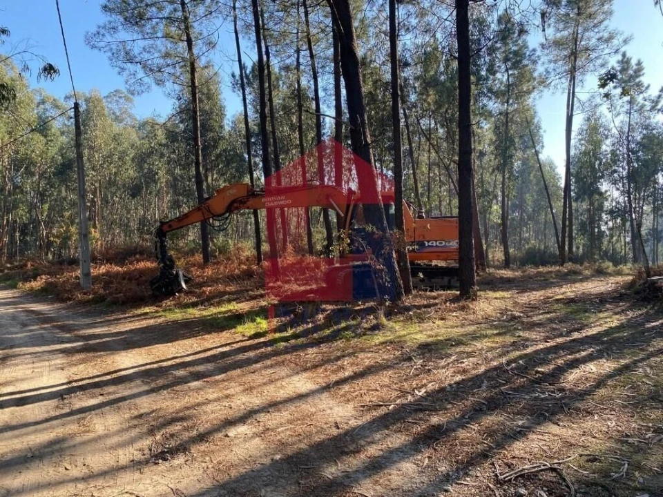 Terreno para Venda em Esqueiros, Nevogilde e Travassós Foto 29