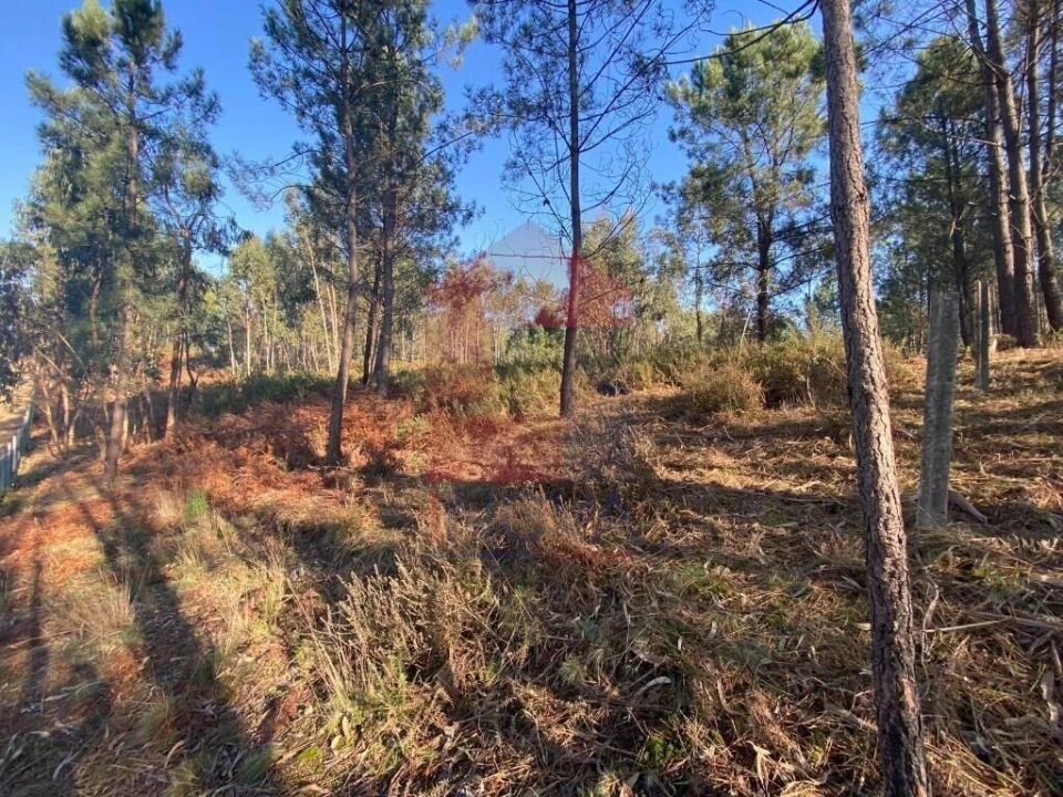 Terreno para Venda em Esqueiros, Nevogilde e Travassós Foto 21