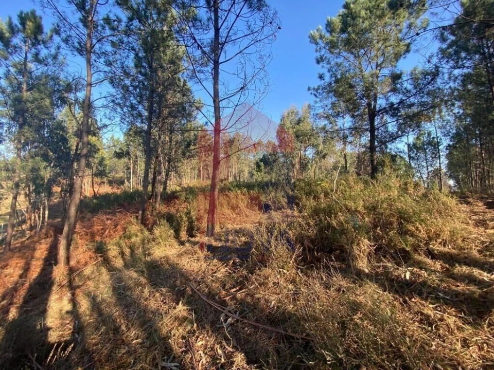 Terreno para Venda em Esqueiros, Nevogilde e Travassós Foto 5