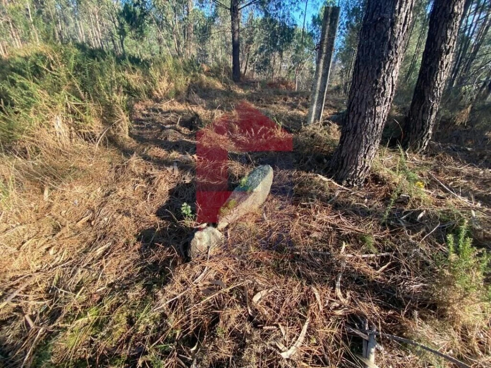 Terreno para Venda em Esqueiros, Nevogilde e Travassós Foto 6
