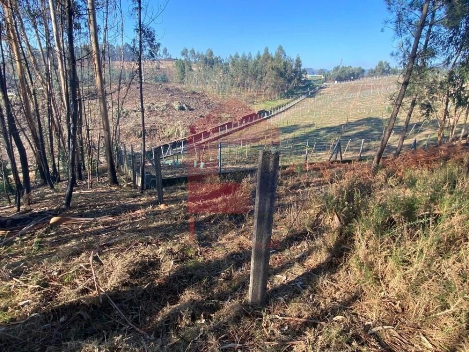 Terreno para Venda em Esqueiros, Nevogilde e Travassós Foto 9