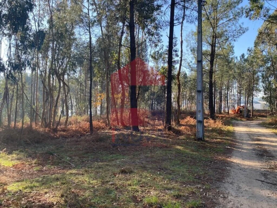 Terreno para Venda em Esqueiros, Nevogilde e Travassós Foto 38
