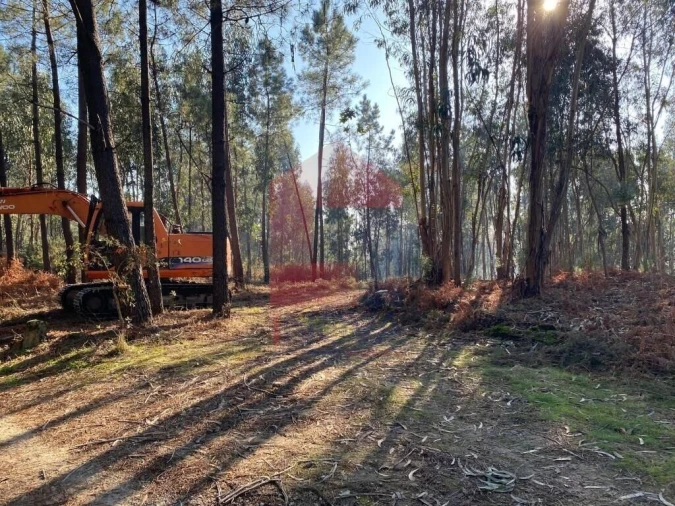 Terreno para Venda em Esqueiros, Nevogilde e Travassós Foto 30