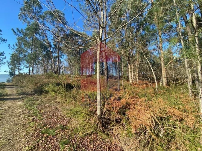 Terreno para Venda em Esqueiros, Nevogilde e Travassós Foto 4