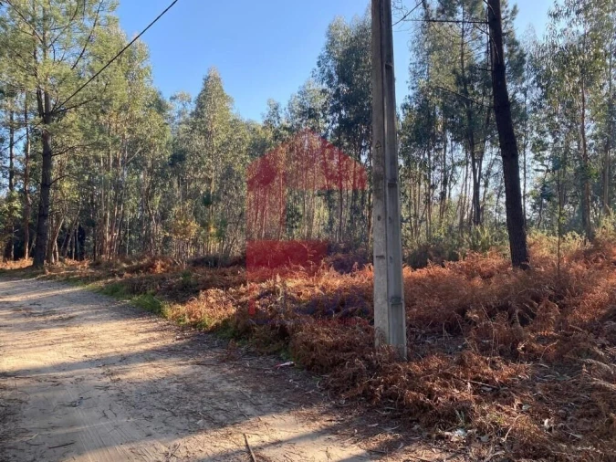 Terreno para Venda em Esqueiros, Nevogilde e Travassós Foto 32