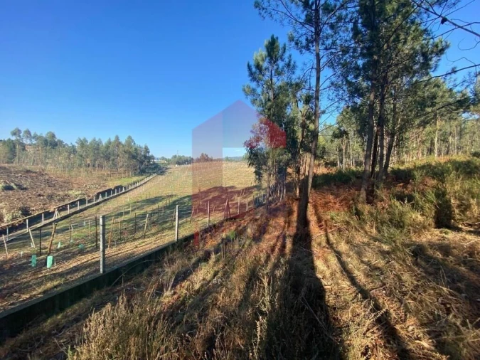 Terreno para Venda em Esqueiros, Nevogilde e Travassós Foto 22