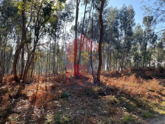 Terreno para Venda em Esqueiros, Nevogilde e Travassós Foto 37