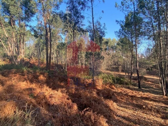Terreno para Venda em Esqueiros, Nevogilde e Travassós Foto 18