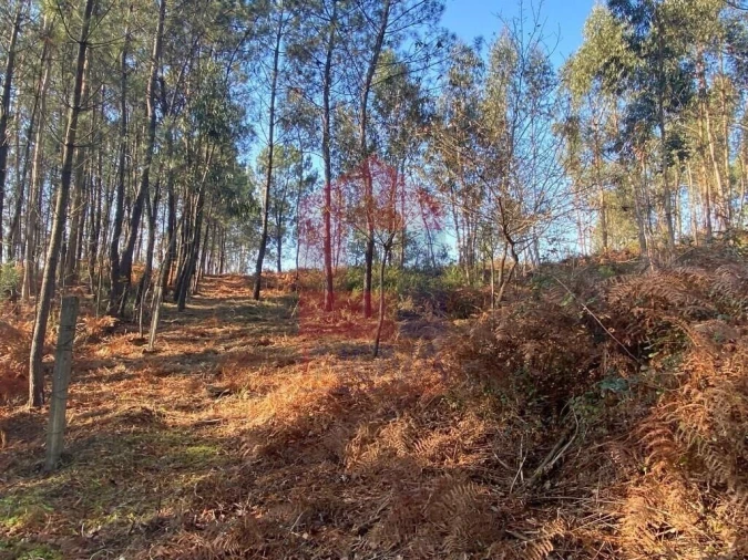 Terreno para Venda em Esqueiros, Nevogilde e Travassós Foto 13