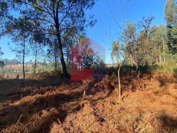 Terreno para Venda em Esqueiros, Nevogilde e Travassós Foto 11