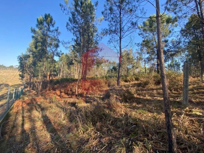 Terreno para Venda em Esqueiros, Nevogilde e Travassós Foto 1