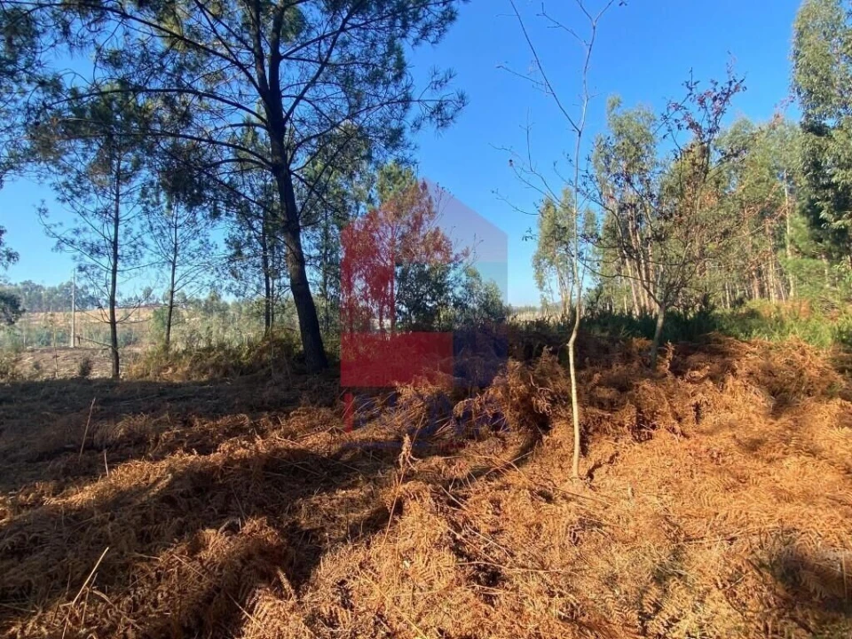 Terreno para Venda em Esqueiros, Nevogilde e Travassós Foto 11