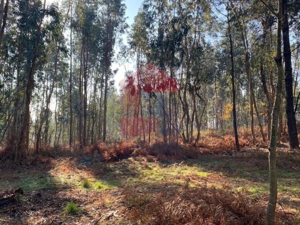 Terreno para Venda em Esqueiros, Nevogilde e Travassós Foto 42