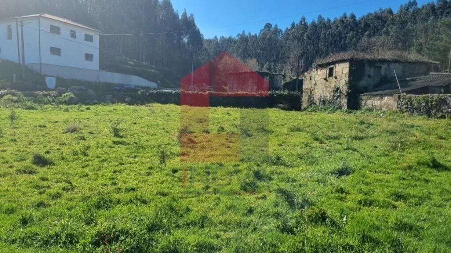 Quinta T0 para Venda em Pico de Regalados, Gondiães e Mós Foto 14