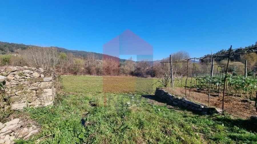 Quinta T0 para Venda em Pico de Regalados, Gondiães e Mós Foto 26