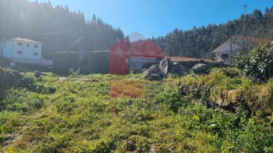 Quinta T0 para Venda em Pico de Regalados, Gondiães e Mós Foto 21