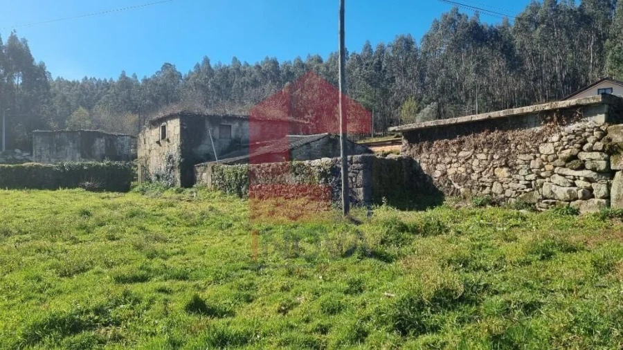 Quinta T0 para Venda em Pico de Regalados, Gondiães e Mós Foto 16
