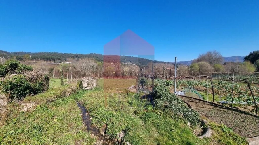 Quinta T0 para Venda em Pico de Regalados, Gondiães e Mós Foto 27