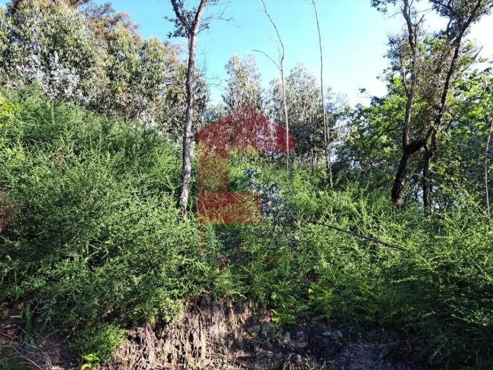 Terreno para Venda em Esqueiros, Nevogilde e Travassós Foto 2
