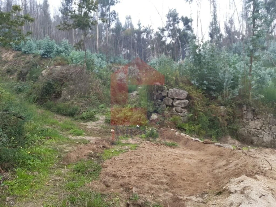 Terreno para Venda em Esqueiros, Nevogilde e Travassós Foto 1