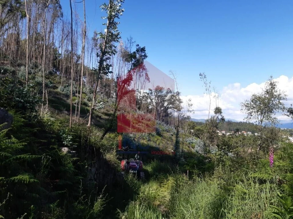 Terreno para Venda em Esqueiros, Nevogilde e Travassós Foto 10