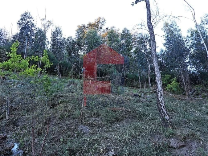 Terreno para Venda em Esqueiros, Nevogilde e Travassós Foto 3