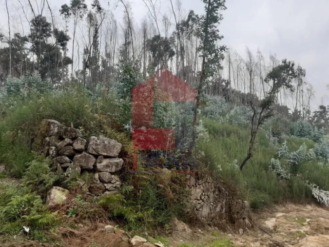 Terreno para Venda em Esqueiros, Nevogilde e Travassós Foto 11