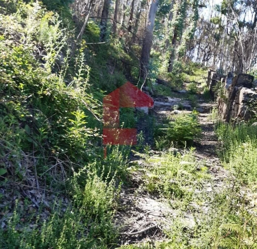 Terreno para Venda em Esqueiros, Nevogilde e Travassós Foto 9