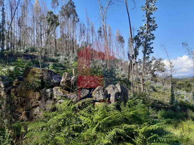 Terreno para Venda em Esqueiros, Nevogilde e Travassós Foto 6