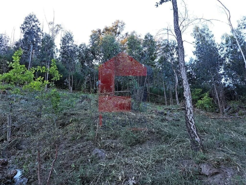 Terreno para Venda em Esqueiros, Nevogilde e Travassós Foto 3