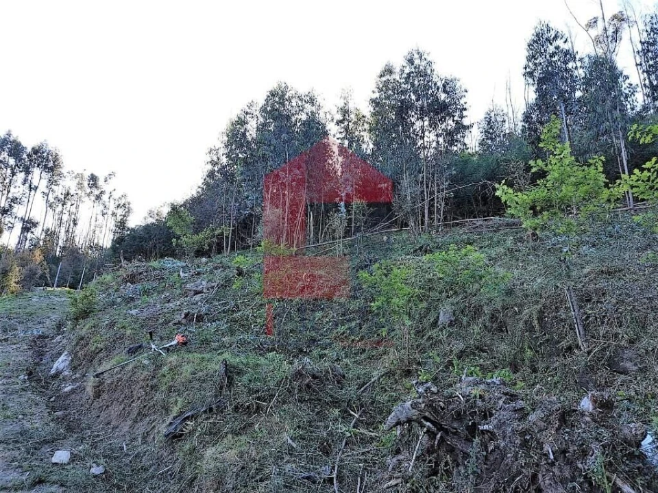 Terreno para Venda em Esqueiros, Nevogilde e Travassós Foto 4