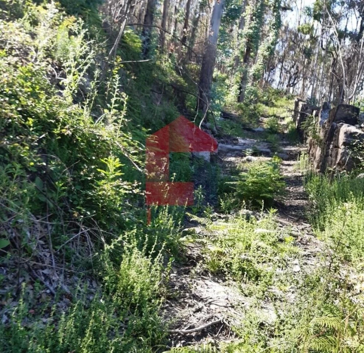 Terreno para Venda em Esqueiros, Nevogilde e Travassós Foto 9