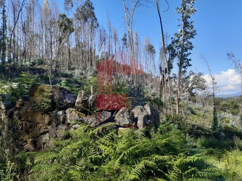Terreno para Venda em Esqueiros, Nevogilde e Travassós Foto 6