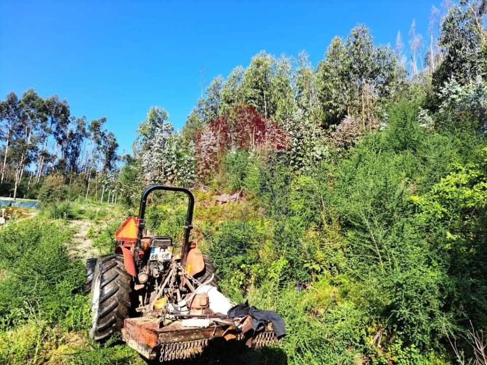 Terreno para Venda em Esqueiros, Nevogilde e Travassós Foto 7