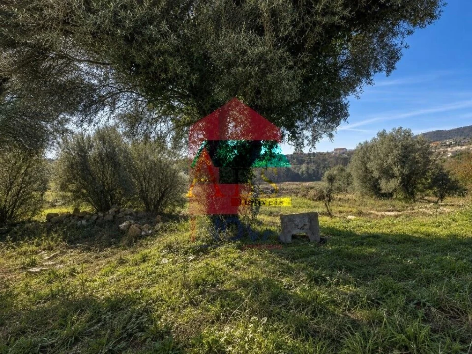 Moradia T0 para Venda em Sande, Vilarinho, Barros e Gomide Foto 16