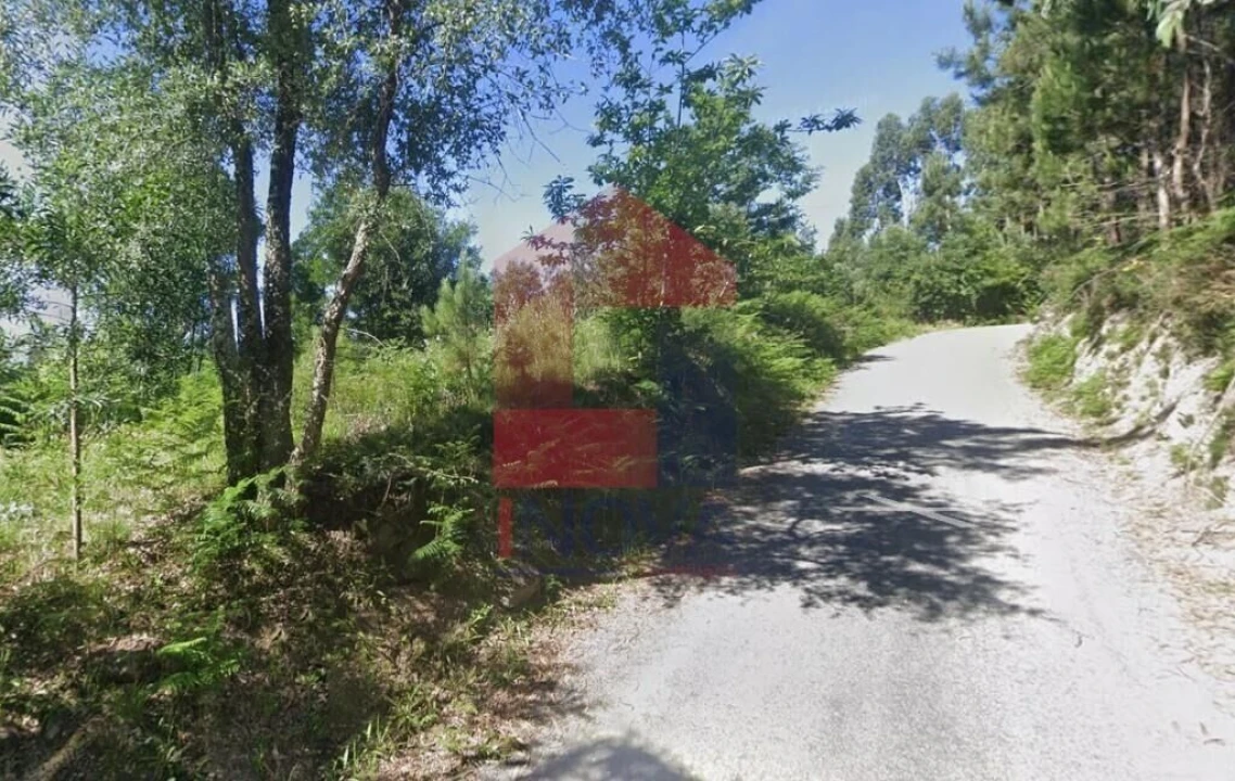 Terreno para Venda em Pico de Regalados, Gondiães e Mós Foto 11