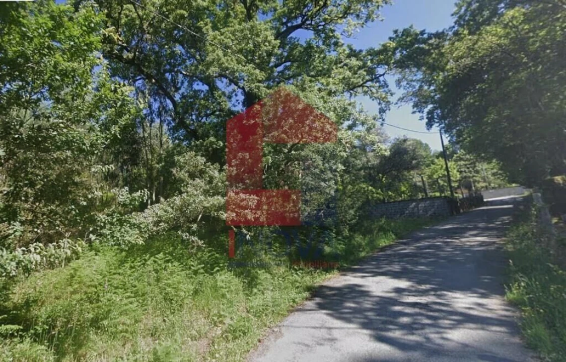 Terreno para Venda em Pico de Regalados, Gondiães e Mós Foto 13